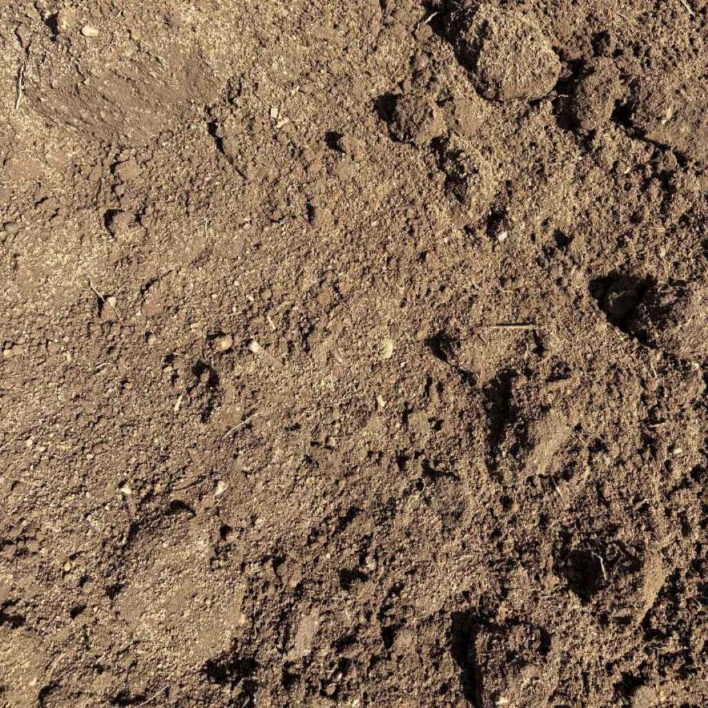Topsoil-terre-à-pelouse